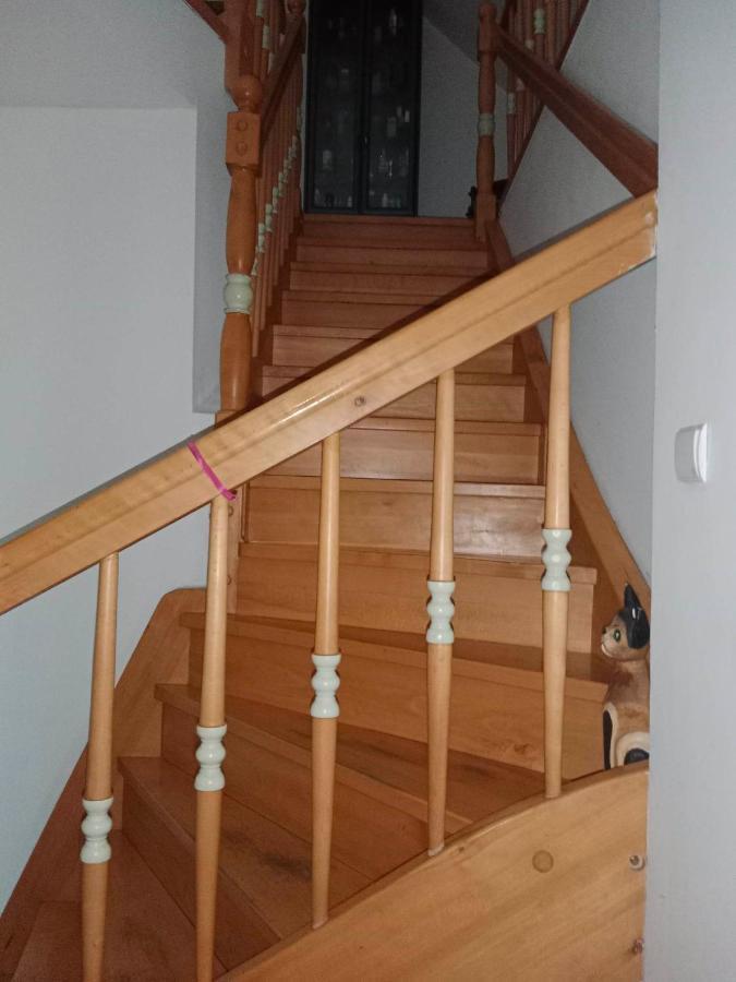 Apasjonata Daire Świdnica Dış mekan fotoğraf