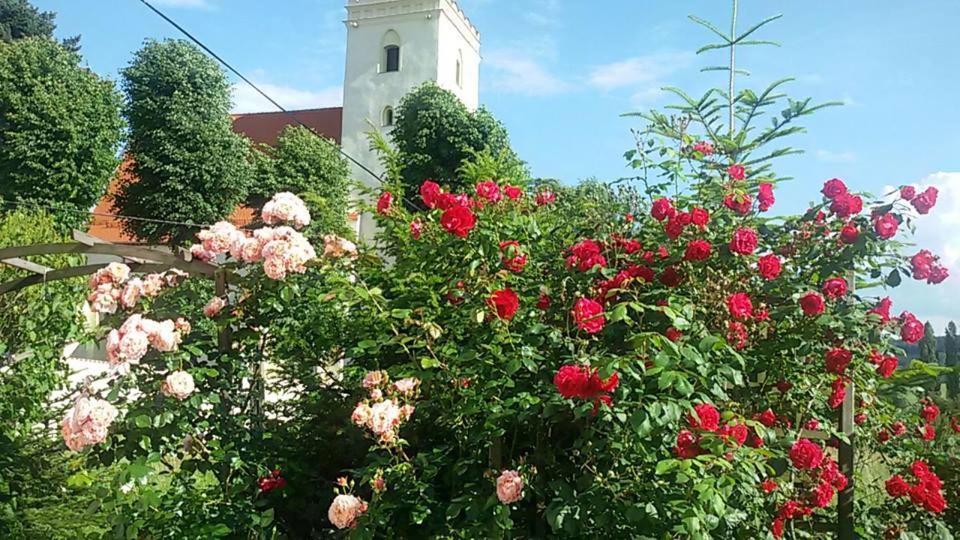 Apasjonata Daire Świdnica Dış mekan fotoğraf