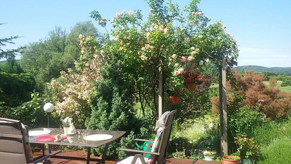 Apasjonata Daire Świdnica Dış mekan fotoğraf