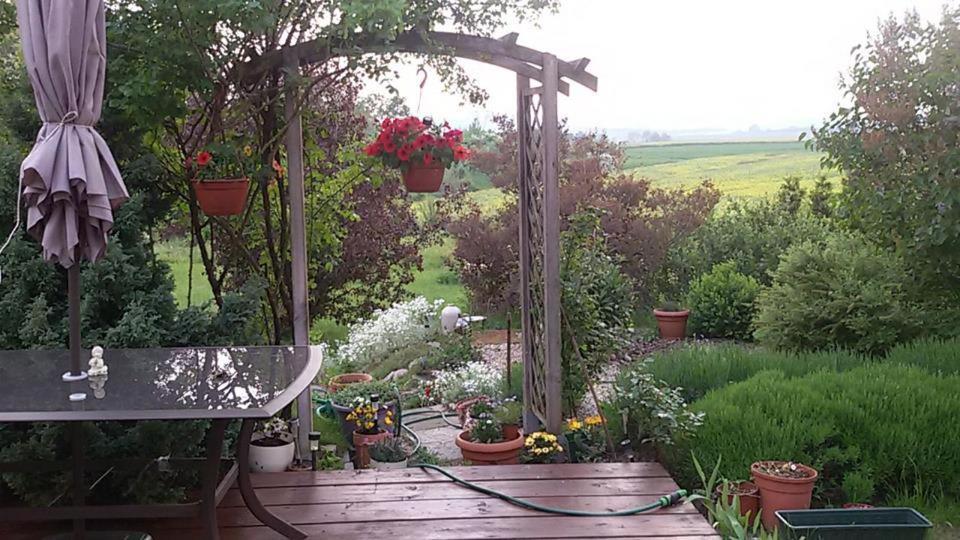 Apasjonata Daire Świdnica Dış mekan fotoğraf